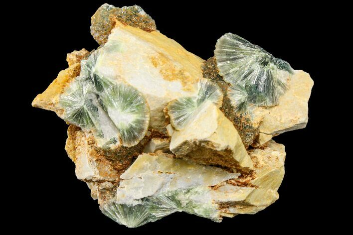Radiating, Green Wavellite Crystal Aggregation - Arkansas #163064